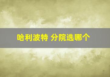 哈利波特 分院选哪个